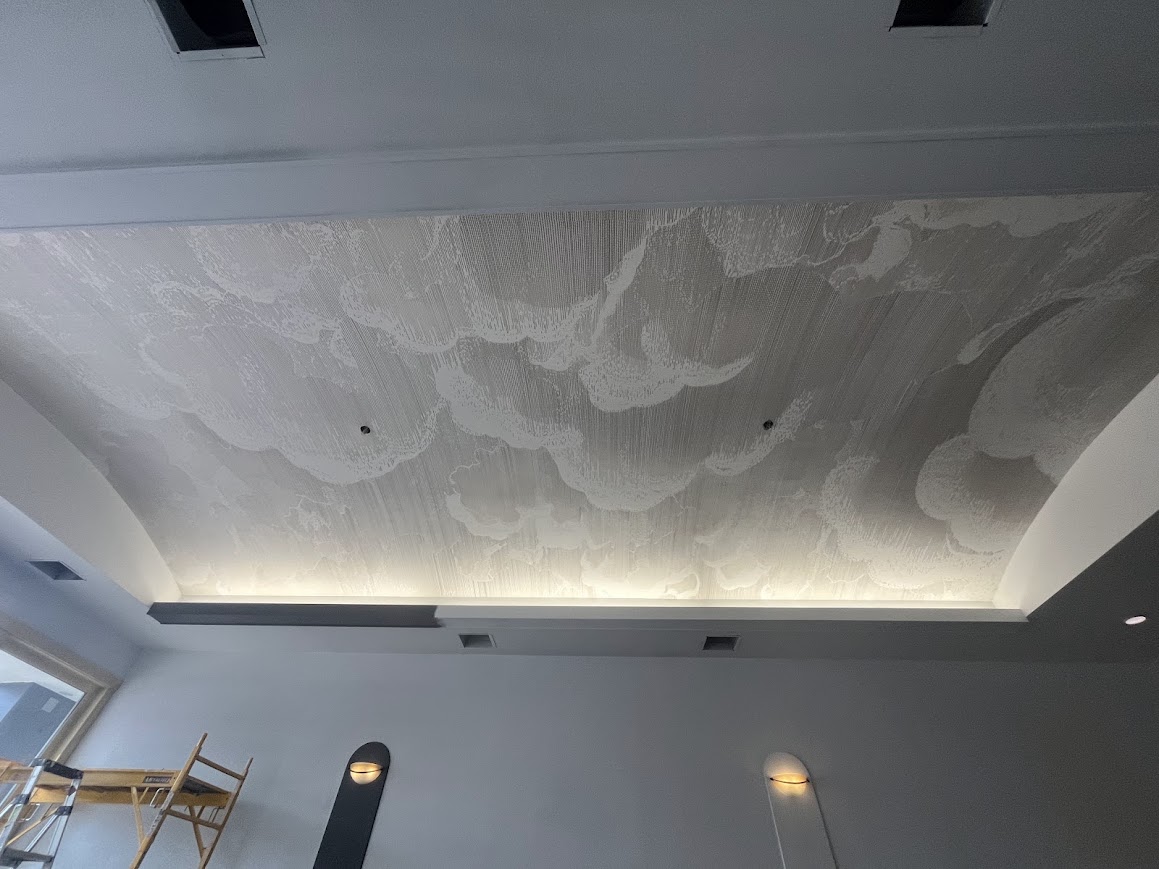 Commercial Ceiling Mural-Style Wallpaper
